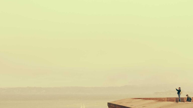 What Is The Purpose Of Https 11Xplay Pro Sports 99999 Portal?