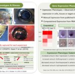 Reddy Anna: Leadership, Vision, and Impact – A Comprehensive Profile