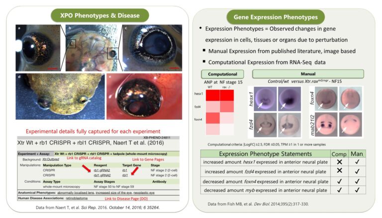 Reddy Anna: Leadership, Vision, and Impact – A Comprehensive Profile