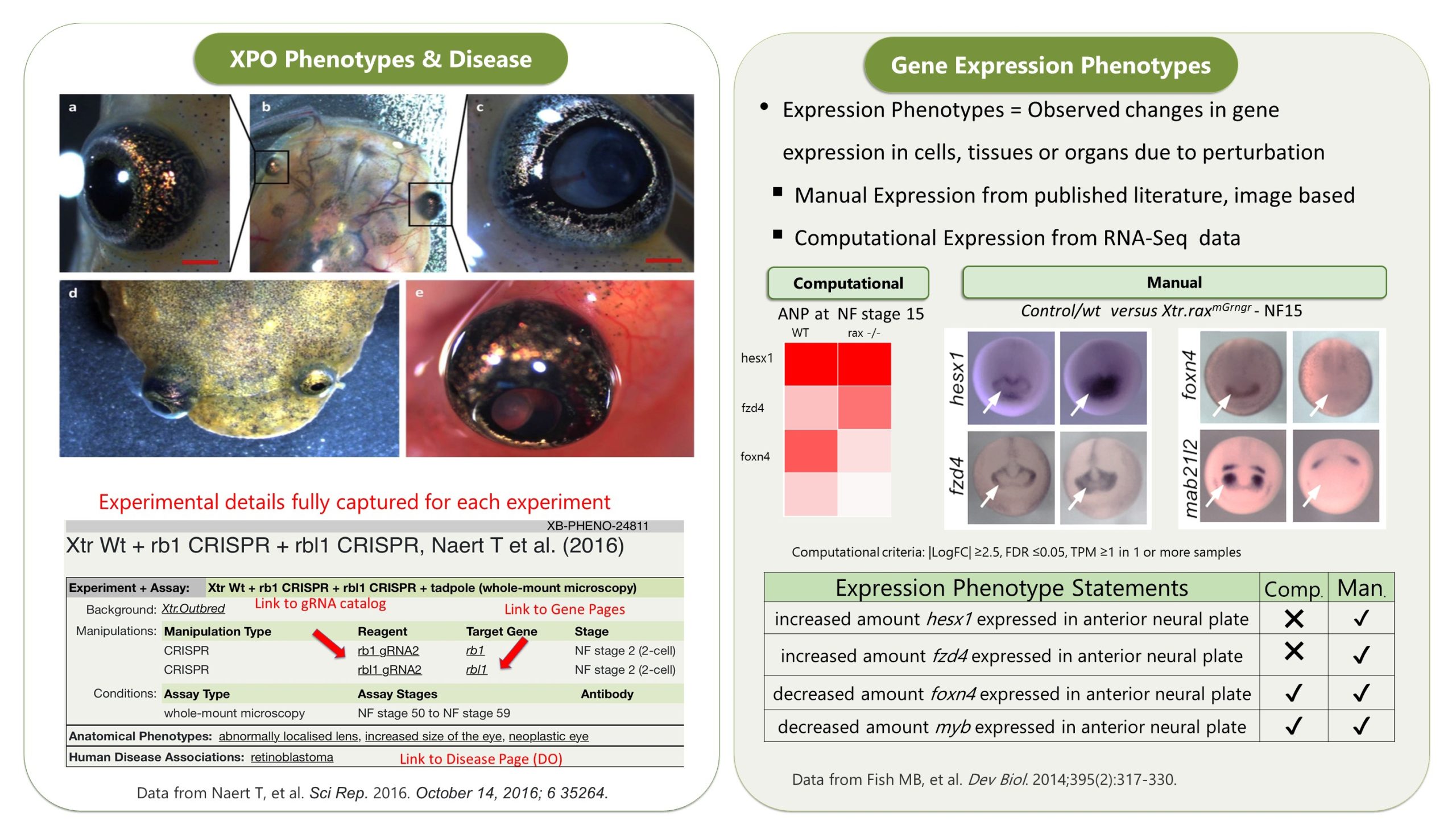 Reddy Anna: Leadership, Vision, and Impact – A Comprehensive Profile